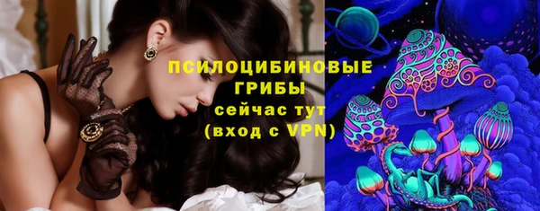стаф Балахна