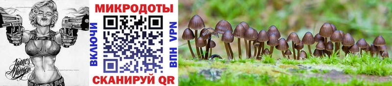 Псилоцибиновые грибы Magic Shrooms  закладка  Кодинск 
